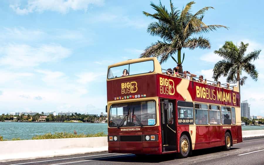Miami: Hop-on Hop-off Open-top Bus Tour and Optional Cruise - Start at Bayside and get your bearings