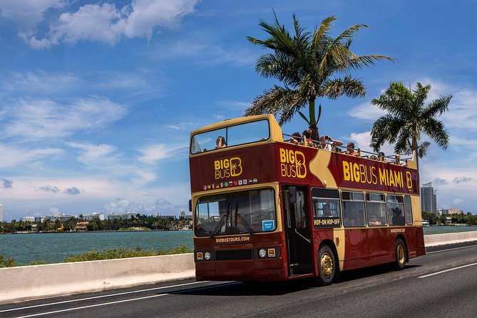 Miami: Hop-on Hop-off Tour + Cruise & Free 1-Hour Bike Rental - Does $41.99 make sense?