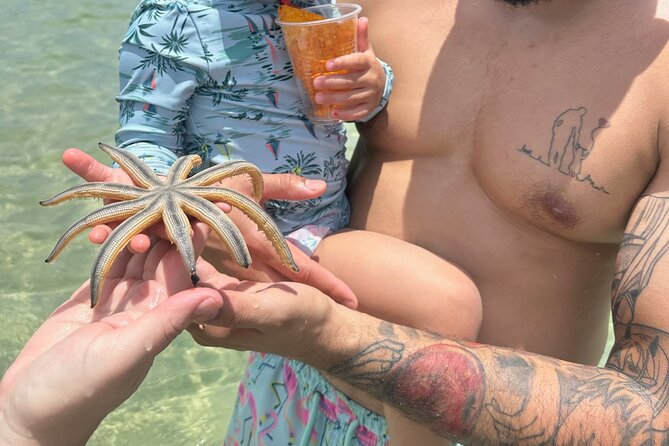 Miami Island Adventure: Boat Rental to Raccoon Island - Understanding the price before you commit