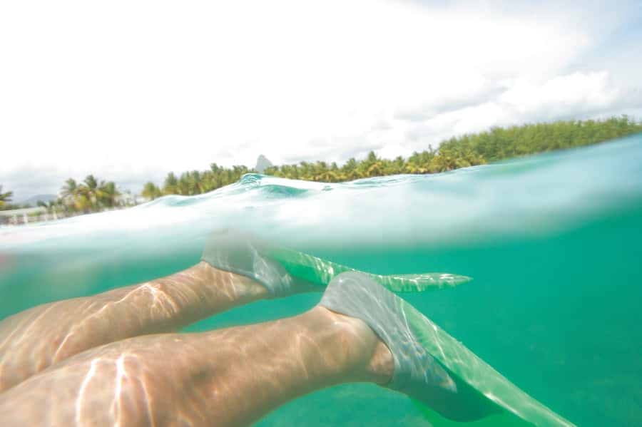 Miami: Key West Dolphin Watch or Snorkel Boat with pickup - The crew can shape the boat outing