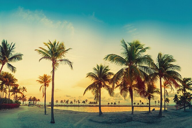 Miami: Open-top Bus Sightseeing Night Tour with Live Guide - The route: waterfront, Downtown and South Beach