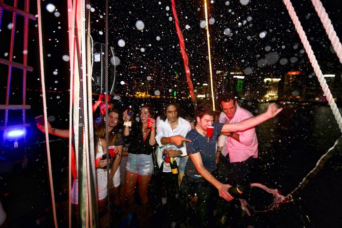 Miami Party Boat Cruise Music & Skyline Views - Who Should Book This Cruise?