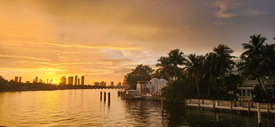 Miami Skyline Sightseeing Cruise and Millionaire Mansions - At a glance