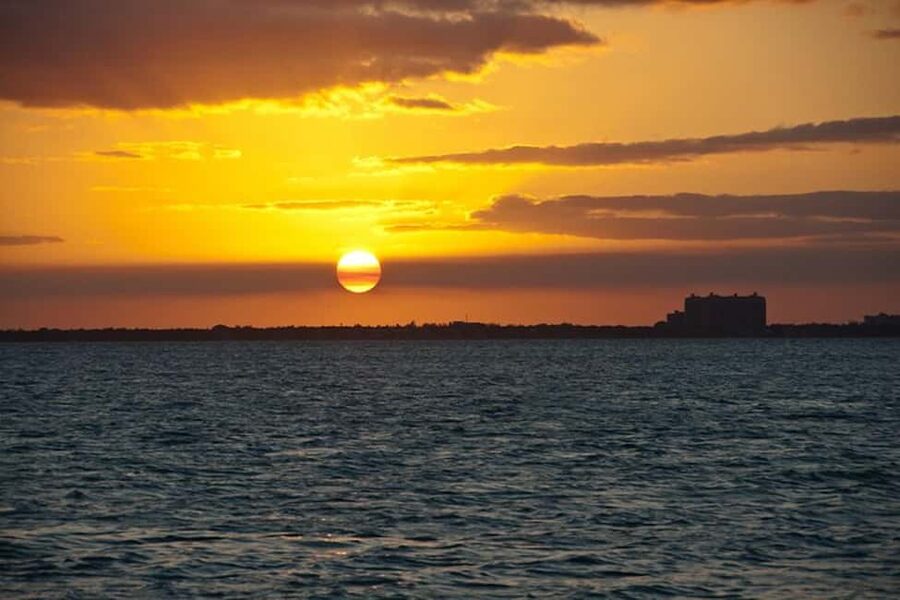Miami Skyline Sightseeing Cruise and Millionaire Mansions - From the Port to the islands
