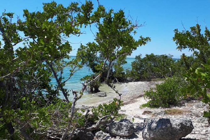 Miami to Key West Day Trip Transportation - Early Pickup, Breakfast Stop, and a Long Ride
