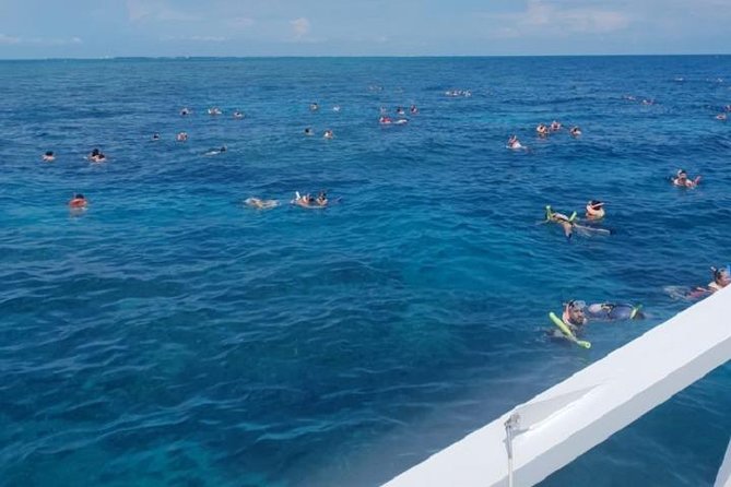 Miami to Key West Day Trip Transportation - Is $49 Good Value for a Key West Day?