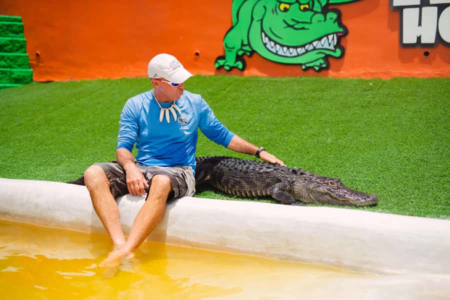 Miami: Wild Everglades Airboat Ride and Gator Encounters - From Miami streets to open marsh