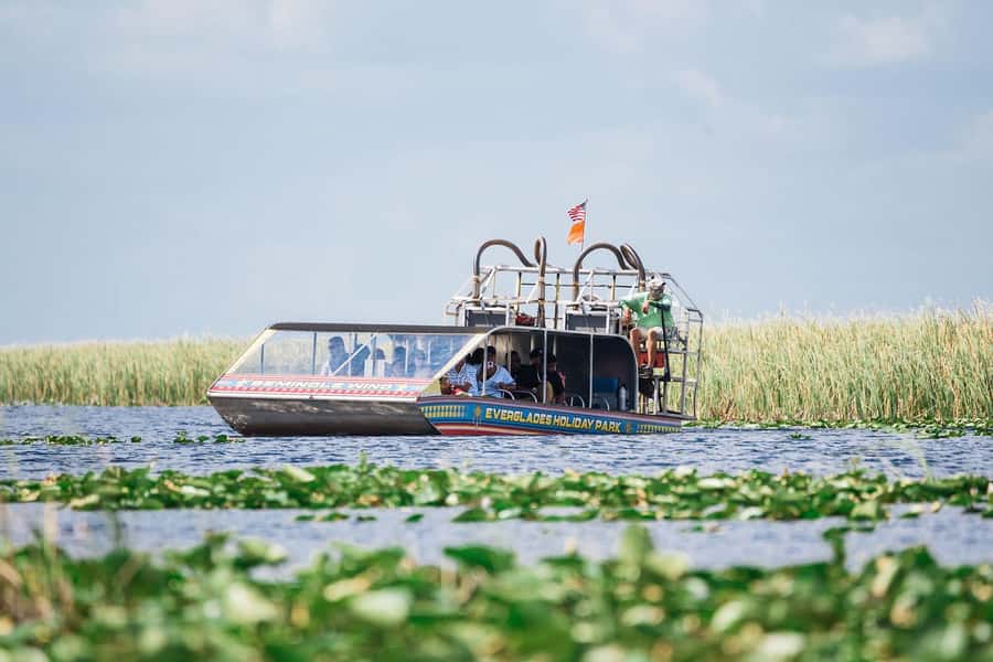 Miami: Wild Everglades Airboat Ride and Gator Encounters - The alligator presentation and wildlife exhibits