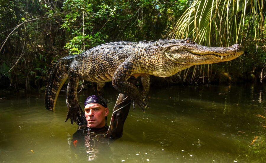 Miami: Wild Everglades Airboat Ride and Gator Encounters - Heat, timing, and what to bring