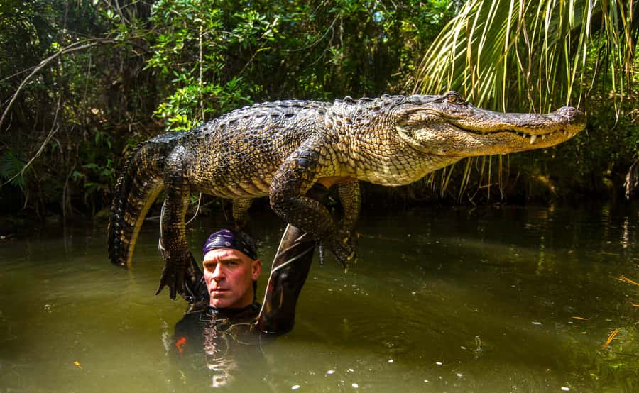 Miami: Wild Everglades Airboat Ride and Gator Encounters - FAQ