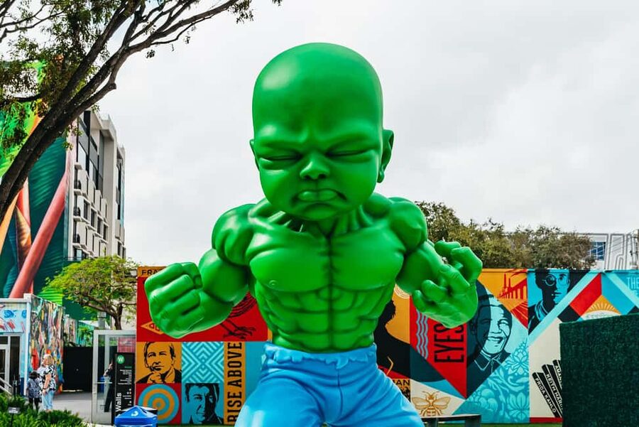 Miami: Wynwood Walls, Galleries, and Murals Guided Tour - The 40-minute guided walk: stories behind the paint