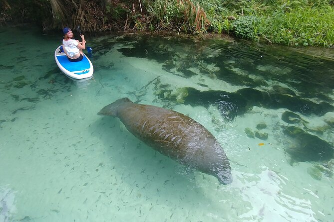 Nature & Island Exploration on SUP/Kayak - What to know before you book