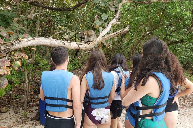 Nature & Island Exploration on SUP/Kayak - The appeal of mangroves and a raccoon stop