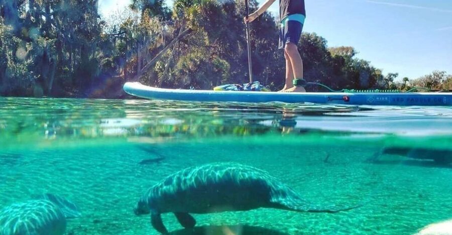 North Miami: Nature & Island Exploration on SUP/Kayak - Key points to know before you go