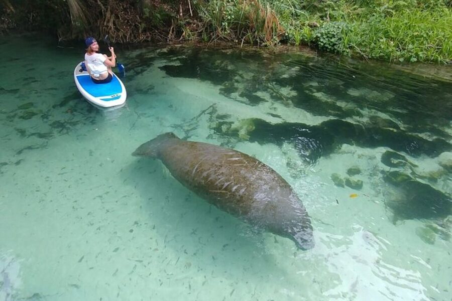 North Miami: Nature & Island Exploration on SUP/Kayak - The return paddle and the weather question