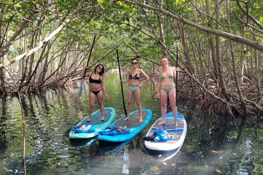 North Miami: Nature & Island Exploration on SUP/Kayak - Getting ready for the marina