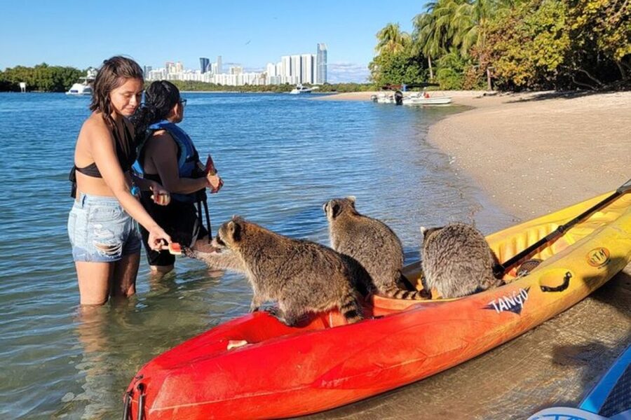 North Miami: Nature & Island Exploration on SUP/Kayak - FAQ