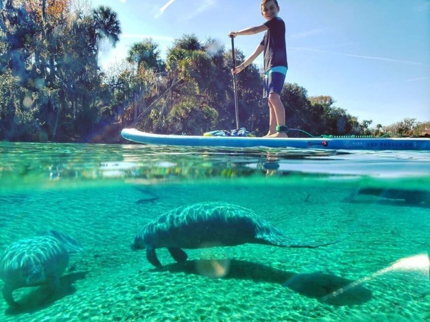 North Miami: Nature & Island Exploration on SUP/Kayak - Wildlife watching without a guarantee