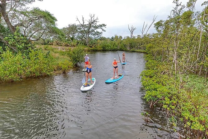 Paddle Boarding Eco Adventure Tour Jupiter Florida - Singer Island - Wildlife, weather, and what you can control