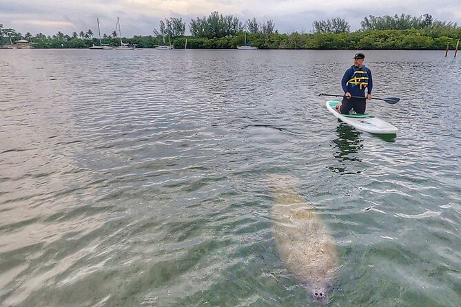 Paddle Boarding Eco Adventure Tour Jupiter Florida - Singer Island - Is $77 a fair price?