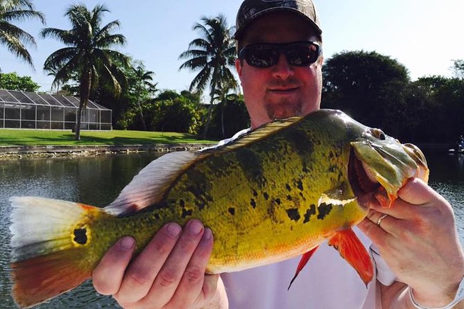 Peacock Bass Fishing Trips near Boca Raton - Gear, license and what to bring