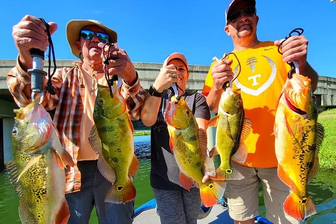 Peacock Bass Fishing Trips near Boca Raton - Who will enjoy this trip most