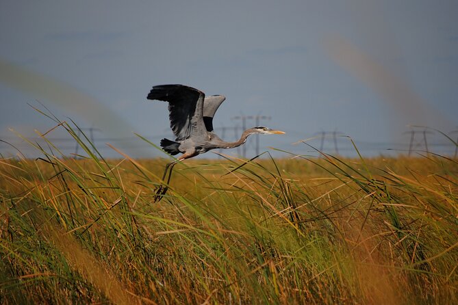 Private Tour: Florida Everglades Airboat Ride and Wildlife Adventure - Who should book this airboat adventure?