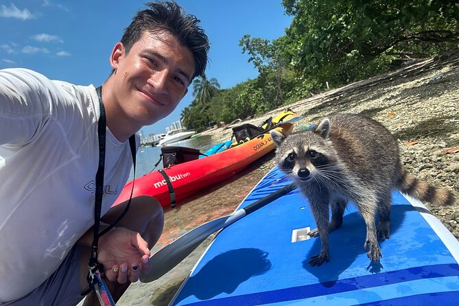 Raccoon Island Exploration on SUP/Kayak - Sandspur Island and its resident raccoons