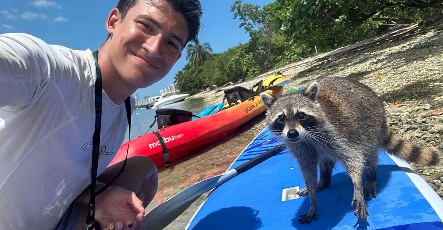 Raccoon Island: Exploration on SUP/Kayak - What $99 buys you