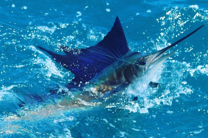 Shared BIG GAME Sportfishing Up To Six People - Who should book this fishing trip