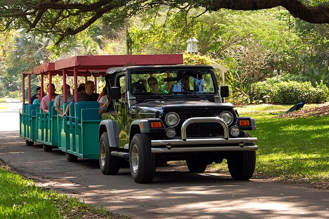 Skip the Line: Flamingo Gardens Admission Ticket in Fort Lauderdale - Plan for four hours, with a little flexibility