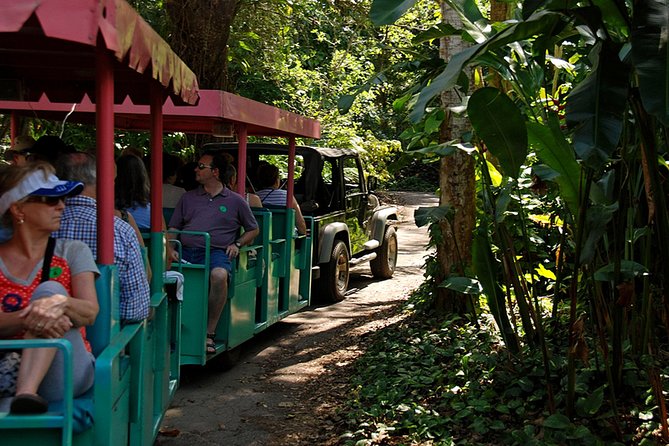 Skip the Line: Flamingo Gardens Admission Ticket in Fort Lauderdale - Should you book this ticket?