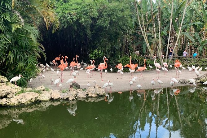 Skip the Line: Flamingo Gardens Admission Ticket in Fort Lauderdale - Look for wildlife, but leave room for surprises