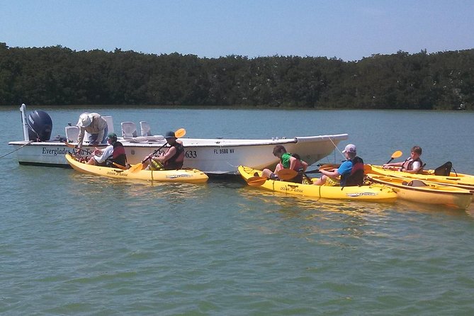 Small Group Boat, Kayak and Walking Guided Eco Tour Everglades - A walk across Barrier Island Beach