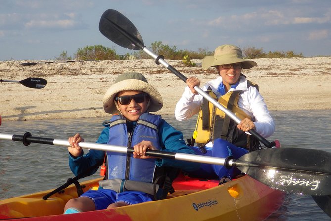 Small Group Boat, Kayak and Walking Guided Eco Tour Everglades - Kayaking close to the mangroves