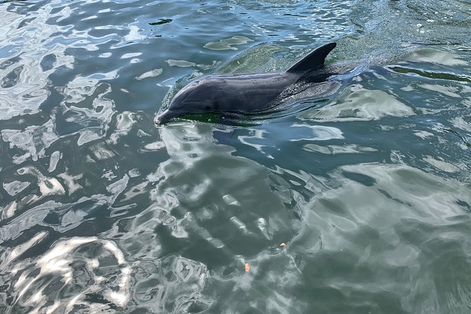 Small Group Florida Keys Eco Tour by Boat - FAQ
