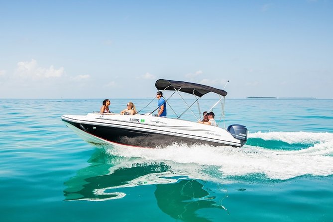 Snorkel & Millionaire Row - Private Miami Boat Tour w/ Drinks - Raccoon Island: a wild stop, not a petting zoo