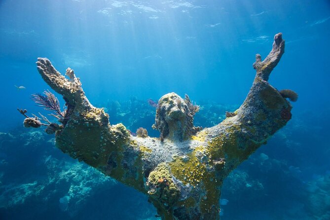 Snorkel Tour - Visit 2 Shallow Reefs John Pennekamp State Park - Key points before you book