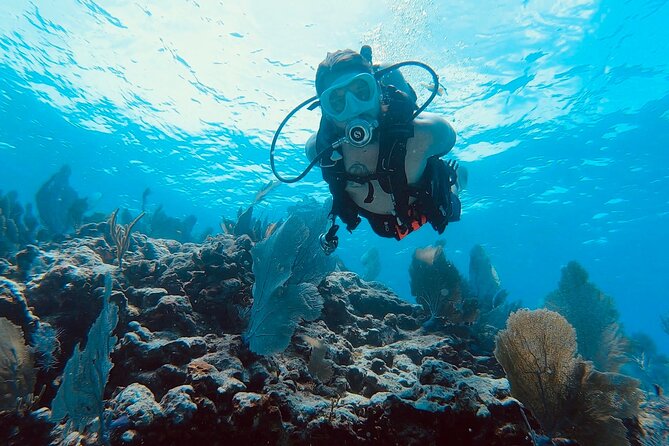 Snorkel Tour - Visit 2 Shallow Reefs John Pennekamp State Park - Two reefs, one memorable statue