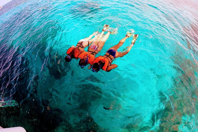 Snorkel Tour - Visit 2 Shallow Reefs John Pennekamp State Park - The crew makes a difference for beginners