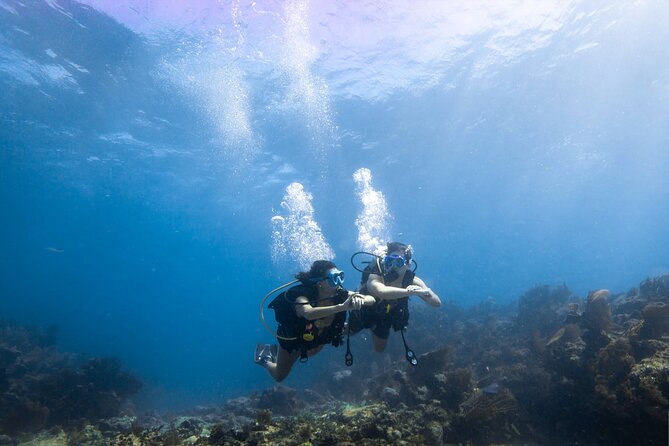 Snorkel Tour - Visit 2 Shallow Reefs John Pennekamp State Park - Is this the right Key Largo snorkel trip for you?