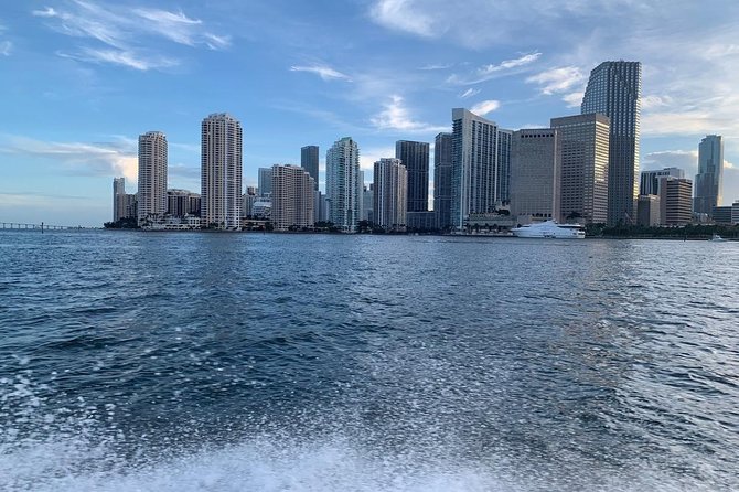 Speedboat Sightseeing Adventure of Miami - Should you book the Miami speedboat tour?