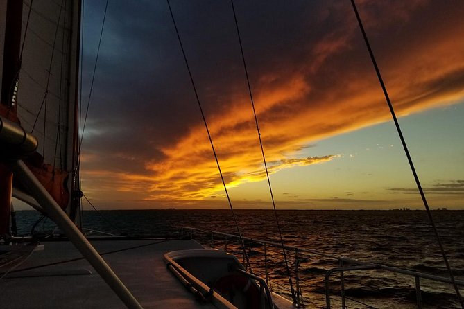 Sunset Sail in Miami: Complimentary Champagne Toast - What makes this Miami sail worth considering