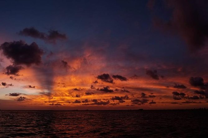 Sunset Sail in Miami: Complimentary Champagne Toast - Setting sail from downtown Miami