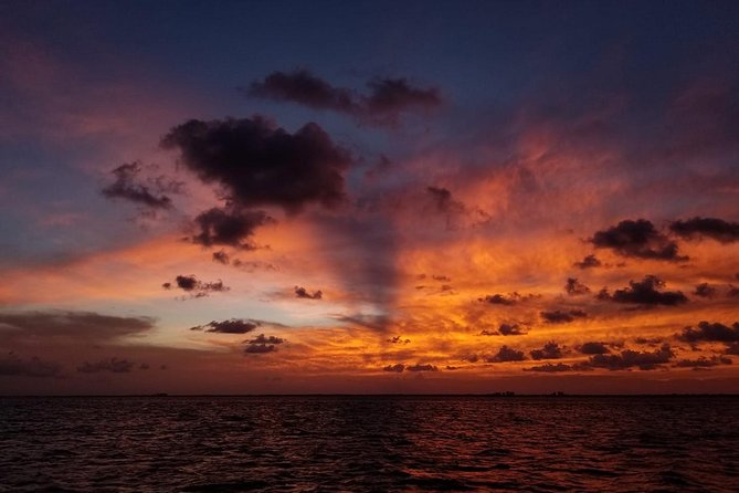 Sunset Sail in Miami: Complimentary Champagne Toast - Champagne, cash bar, and what to bring