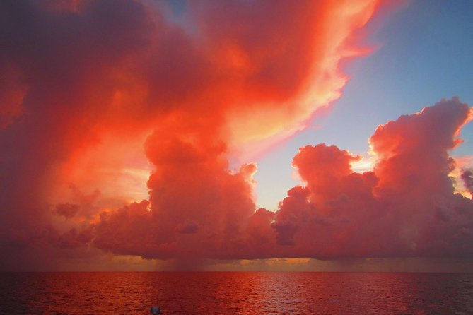 Sunset Sail in Miami: Complimentary Champagne Toast - Should you book it?