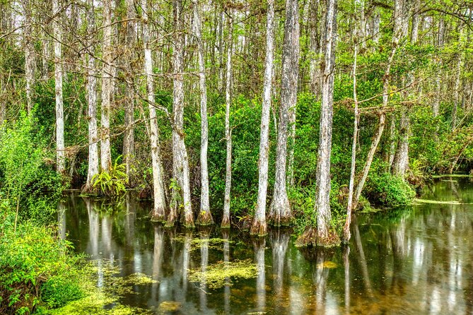 Ultimate Florida Self Guided Driving & Walking Audio Tour Bundle - Everglades National Park and Big Cypress