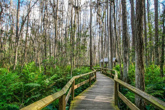 Ultimate Florida Self Guided Driving & Walking Audio Tour Bundle - The app works best when you prepare before you go