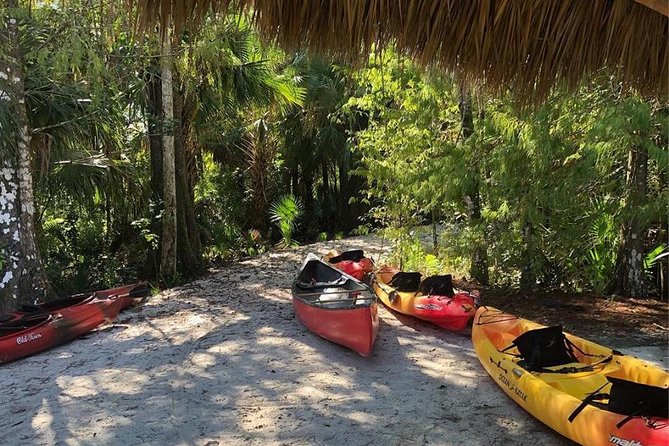 Wild & Scenic Loxahatchee River Guided Tour - Key points to know before you paddle