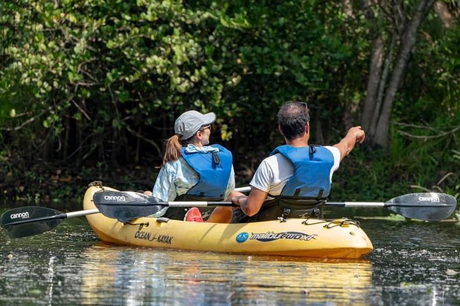Wild & Scenic Loxahatchee River Guided Tour - Who will enjoy this Jupiter kayak tour?